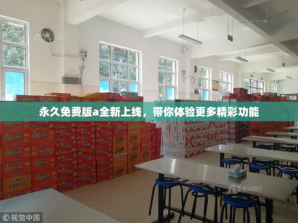 永久免费版a全新上线，带你体验更多精彩功能