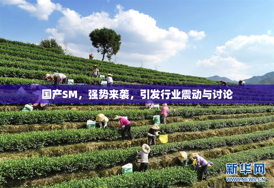 国产SM，强势来袭，引发行业震动与讨论