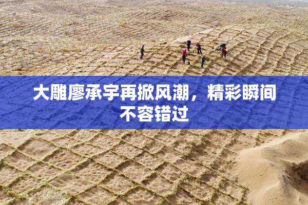 大雕廖承宇再掀风潮，精彩瞬间不容错过