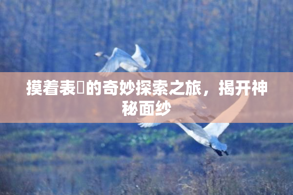摸着表妺的奇妙探索之旅，揭开神秘面纱