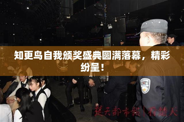 知更鸟自我颁奖盛典圆满落幕，精彩纷呈！