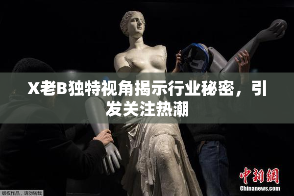 X老B独特视角揭示行业秘密，引发关注热潮