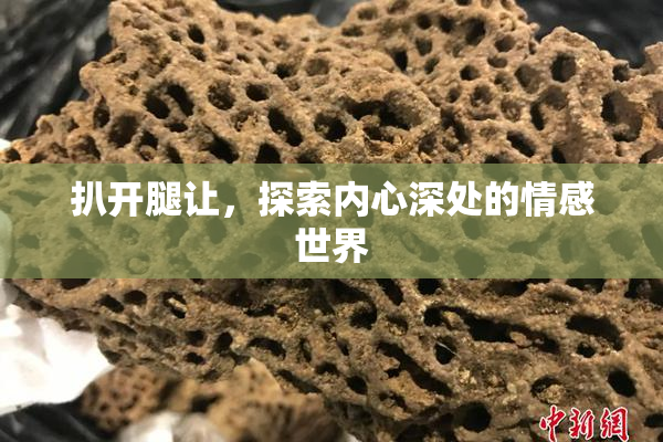 扒开腿让，探索内心深处的情感世界