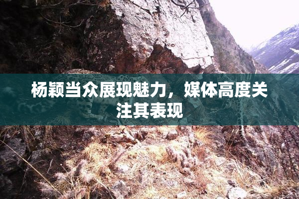 杨颖当众展现魅力，媒体高度关注其表现