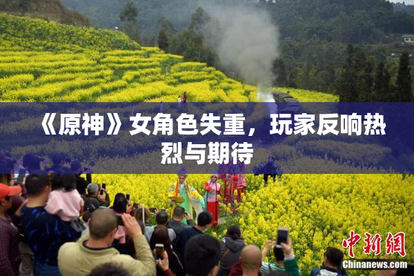 《原神》女角色失重，玩家反响热烈与期待
