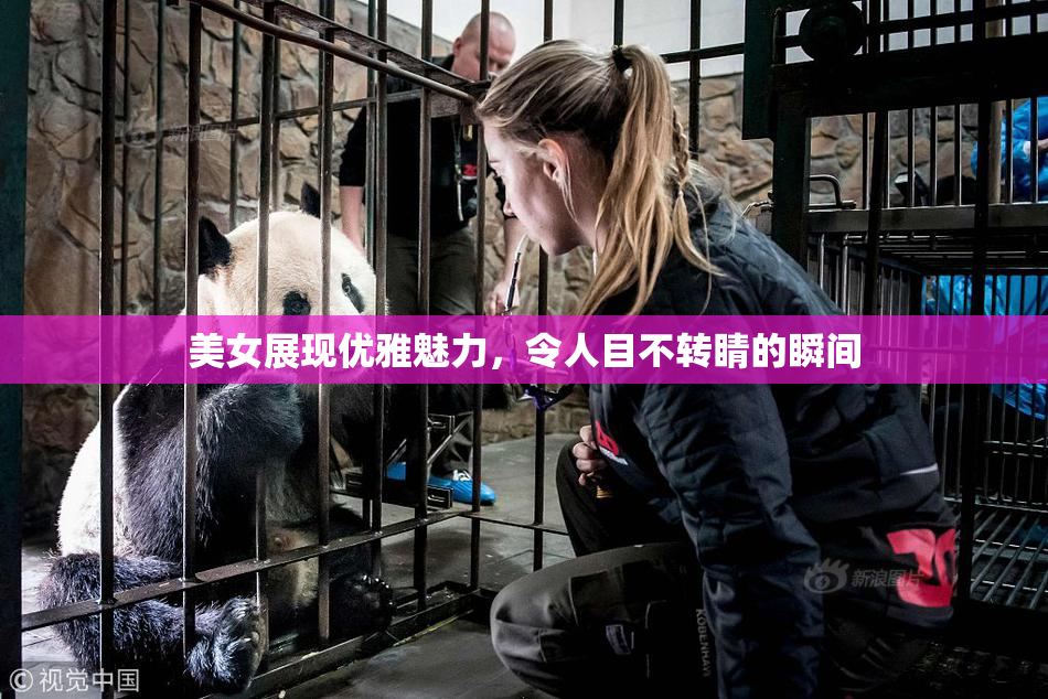 美女展现优雅魅力，令人目不转睛的瞬间