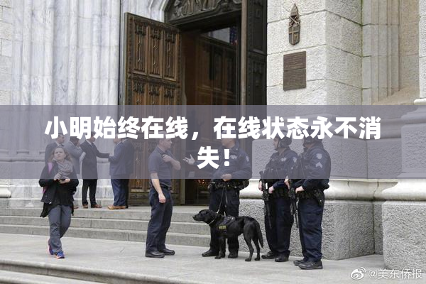 小明始终在线，在线状态永不消失！