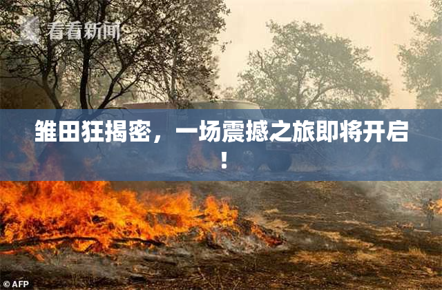 雏田狂揭密，一场震撼之旅即将开启！