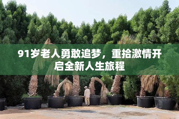 91岁老人勇敢追梦，重拾激情开启全新人生旅程