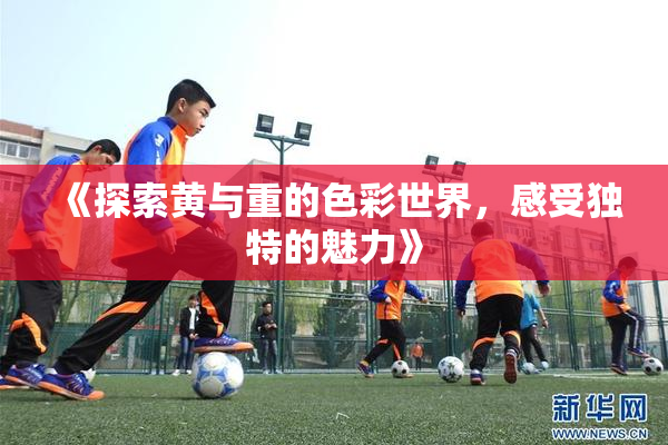 《探索黄与重的色彩世界，感受独特的魅力》