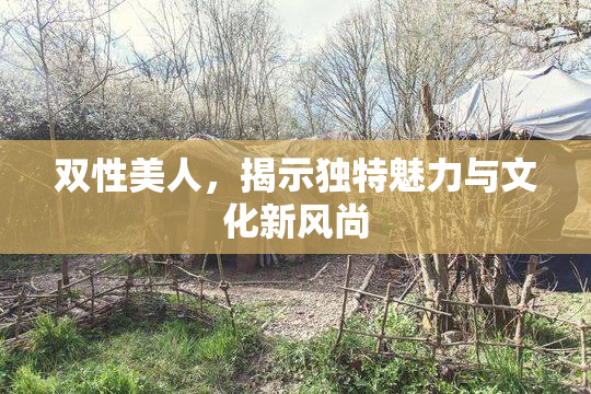 双性美人，揭示独特魅力与文化新风尚