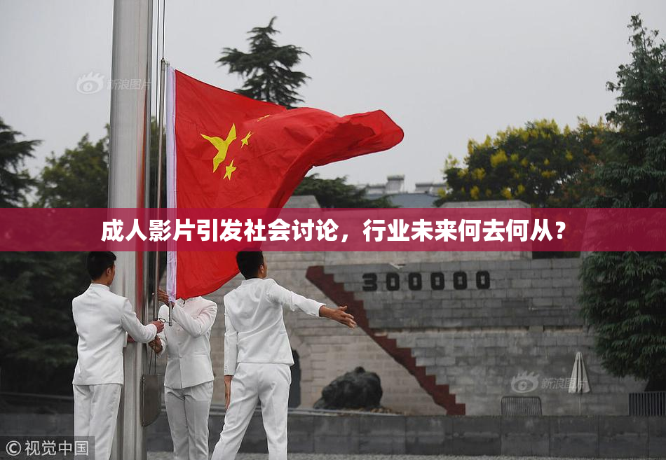 成人影片引发社会讨论，行业未来何去何从？