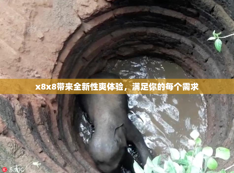 x8x8带来全新性爽体验，满足你的每个需求