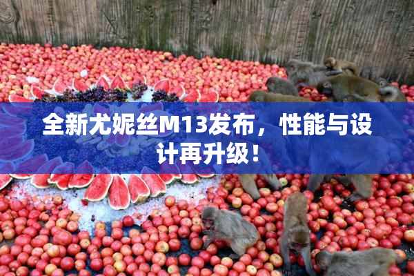 全新尤妮丝M13发布，性能与设计再升级！
