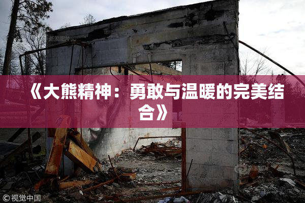 《大熊精神：勇敢与温暖的完美结合》