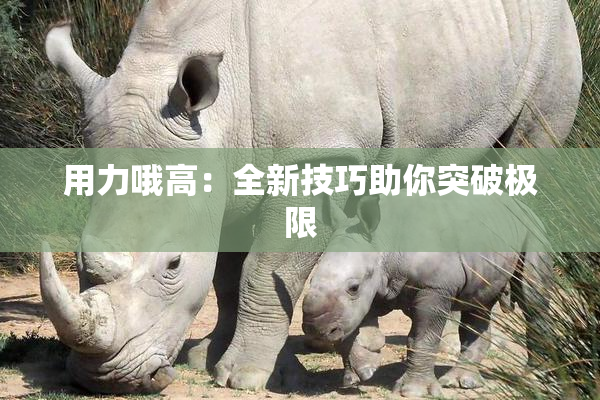 用力哦高：全新技巧助你突破极限