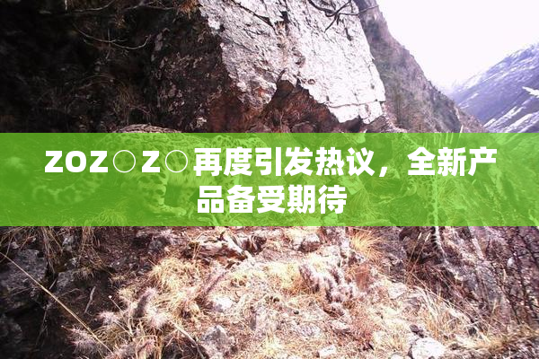 ZOZ○Z○再度引发热议，全新产品备受期待
