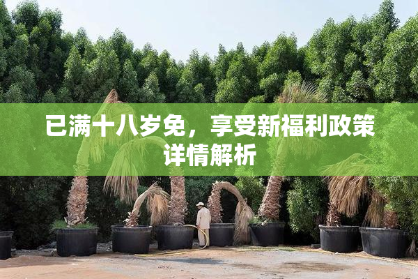 已满十八岁免，享受新福利政策详情解析