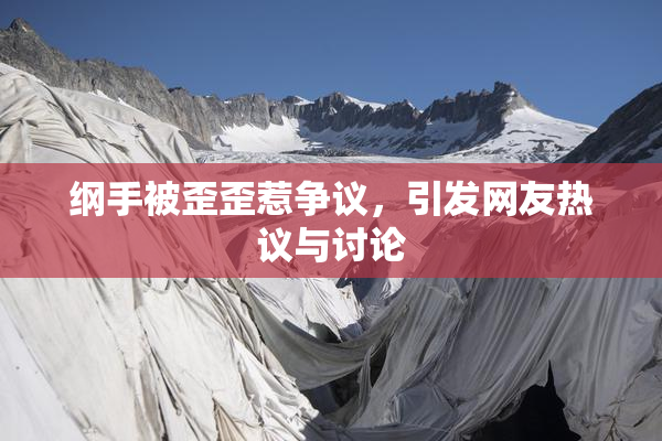 纲手被歪歪惹争议，引发网友热议与讨论