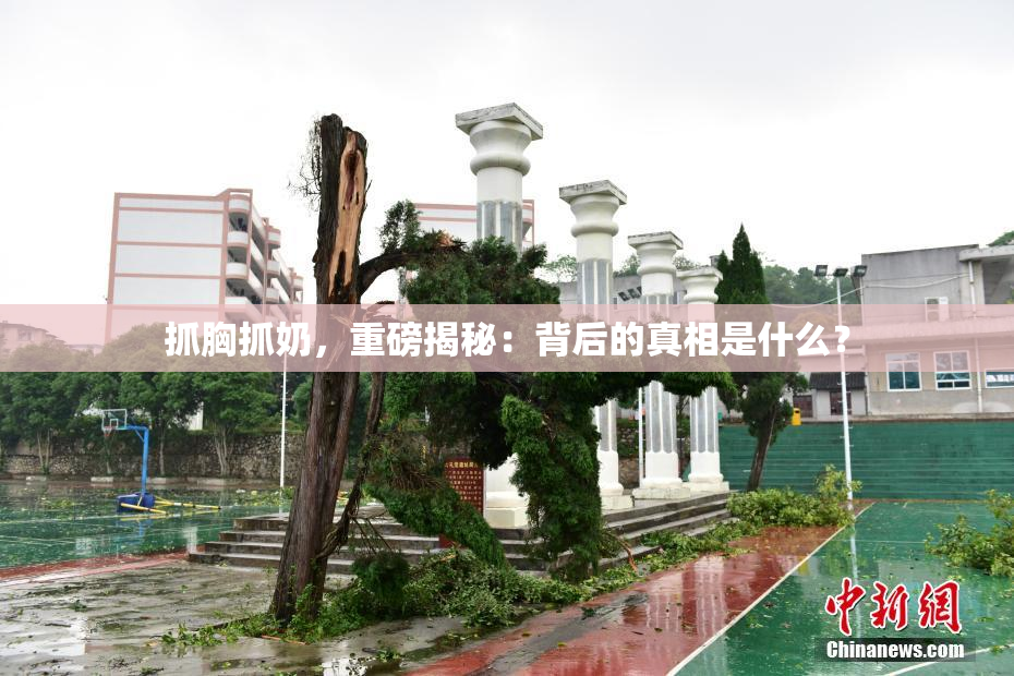 抓胸抓奶，重磅揭秘：背后的真相是什么？