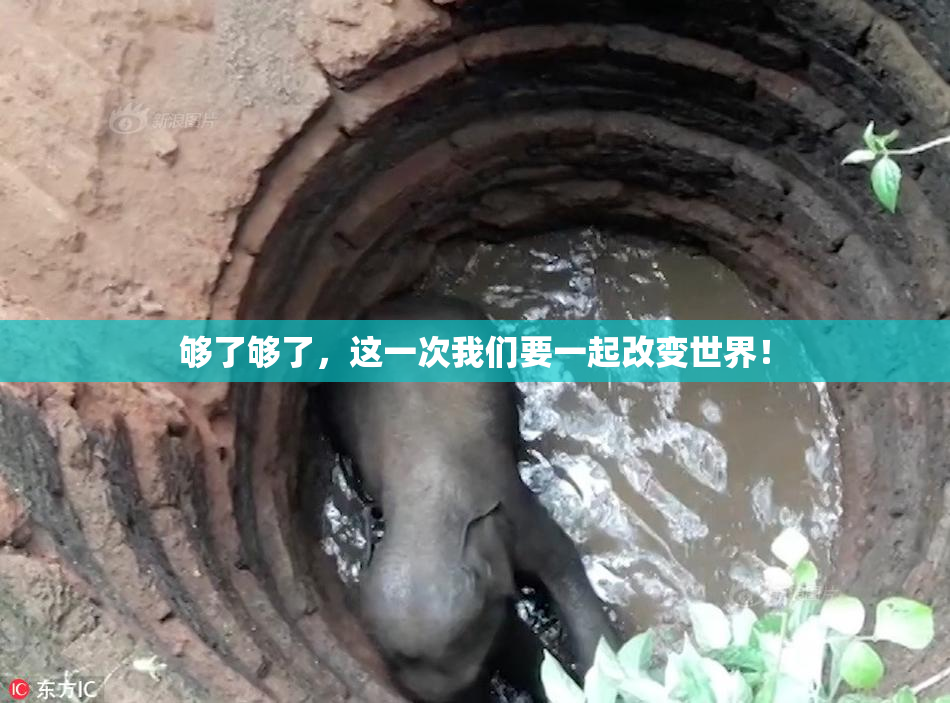 够了够了，这一次我们要一起改变世界！