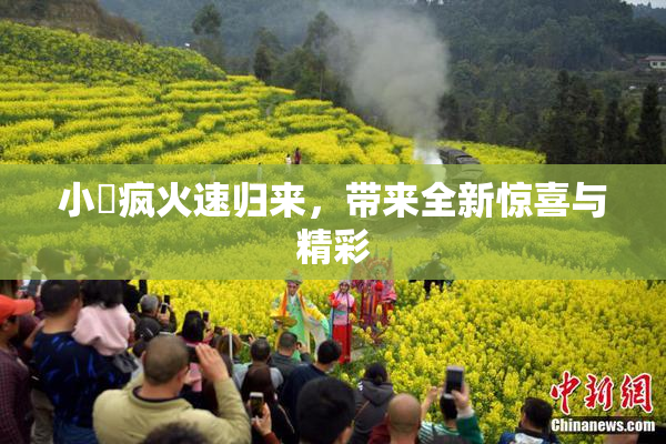 小泬疯火速归来，带来全新惊喜与精彩