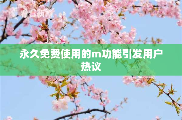 永久免费使用的m功能引发用户热议