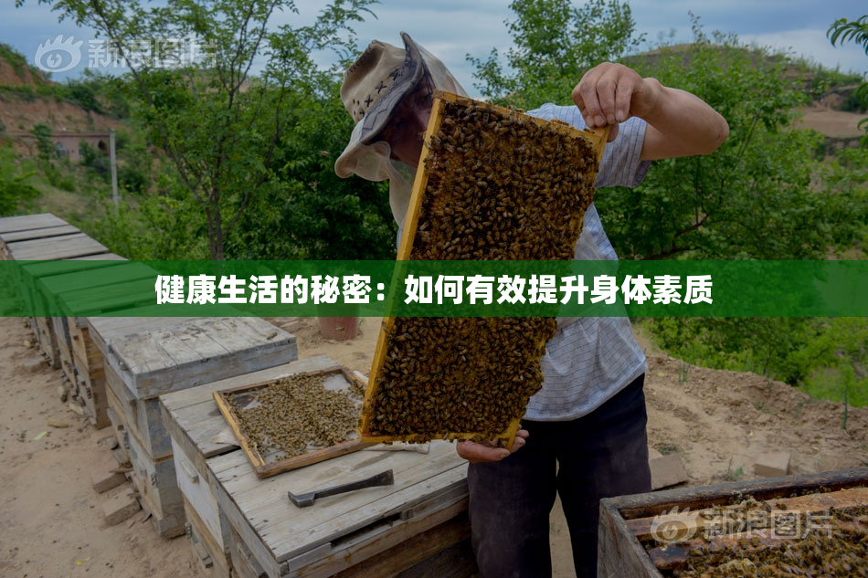 健康生活的秘密：如何有效提升身体素质