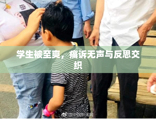 学生被至爽，痛诉无声与反思交织