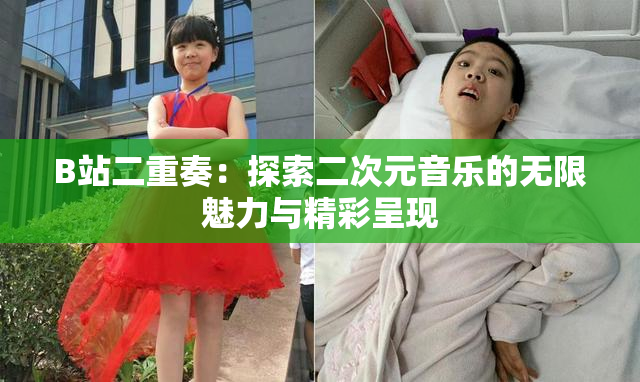 B站二重奏：探索二次元音乐的无限魅力与精彩呈现