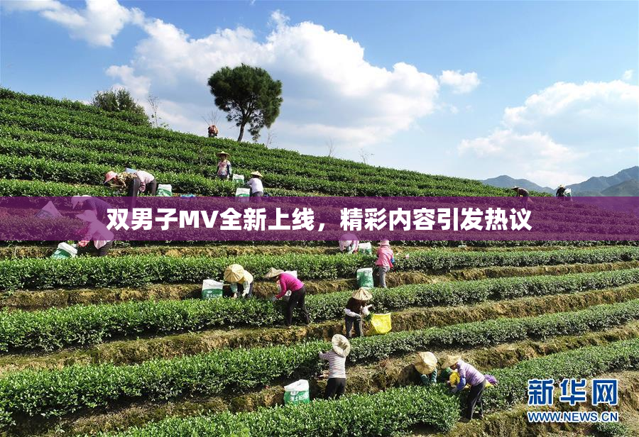 双男子MV全新上线，精彩内容引发热议