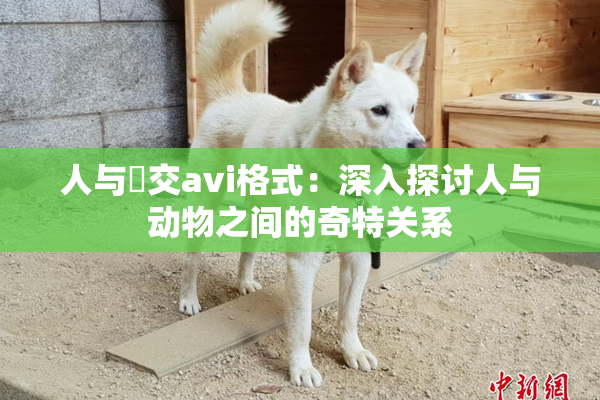 人与嘼交avi格式：深入探讨人与动物之间的奇特关系
