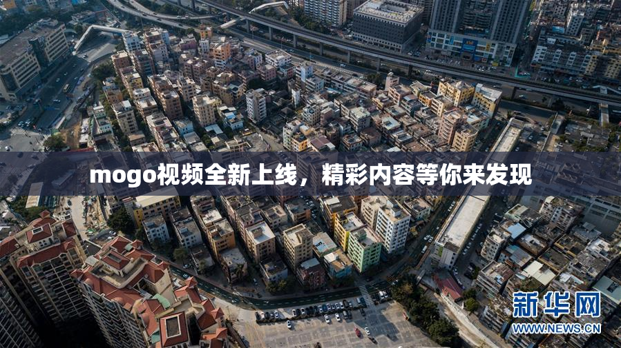 mogo视频全新上线，精彩内容等你来发现