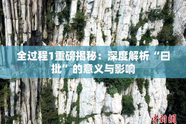 全过程1重磅揭秘：深度解析“曰批”的意义与影响
