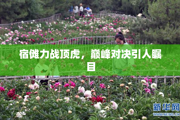 宿傩力战顶虎，巅峰对决引人瞩目