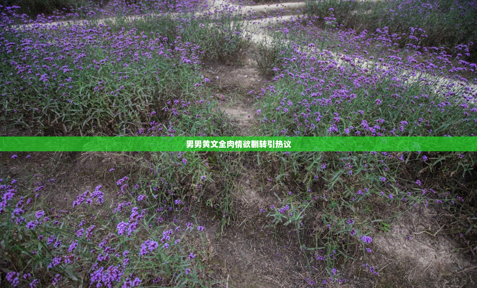 男男黄文全肉情欲翻转引热议