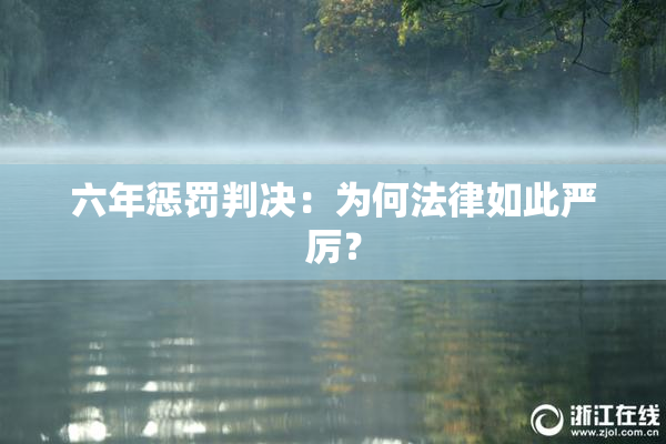 六年惩罚判决：为何法律如此严厉？