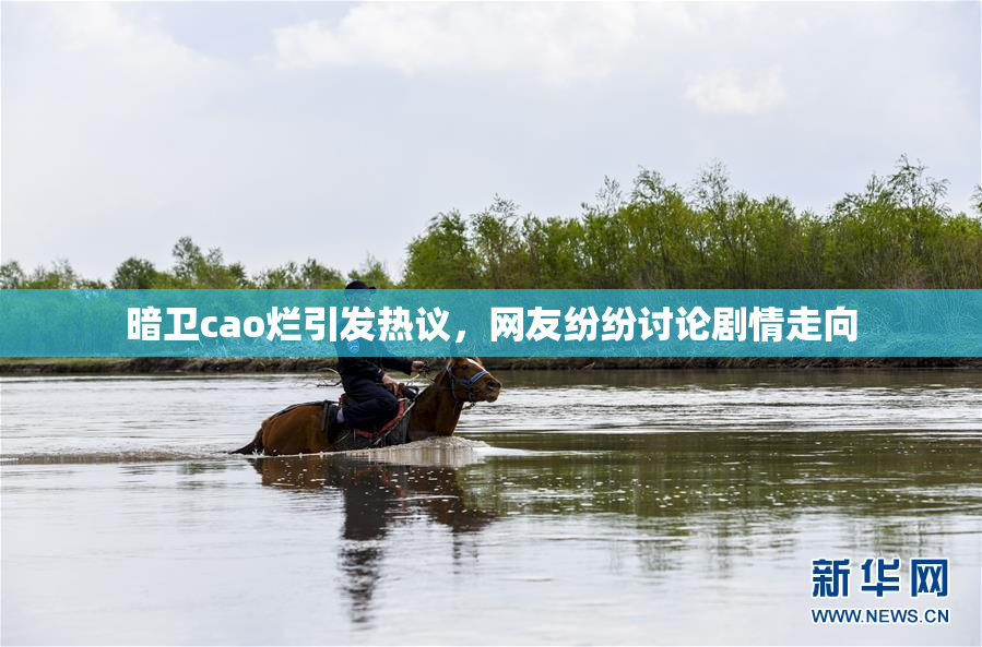 暗卫cao烂引发热议，网友纷纷讨论剧情走向