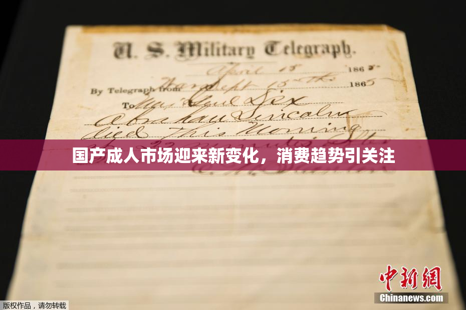 国产成人市场迎来新变化，消费趋势引关注