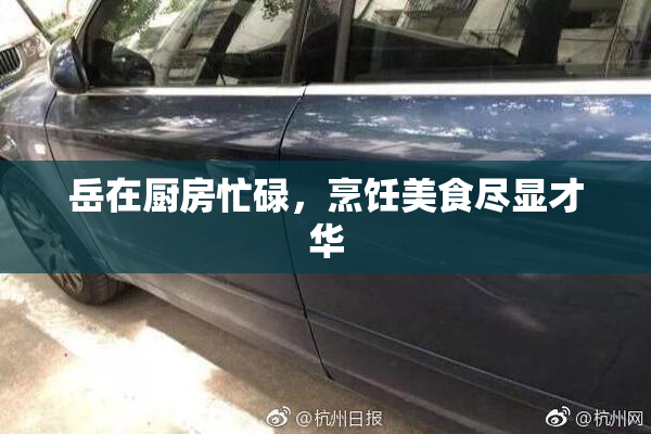 岳在厨房忙碌，烹饪美食尽显才华