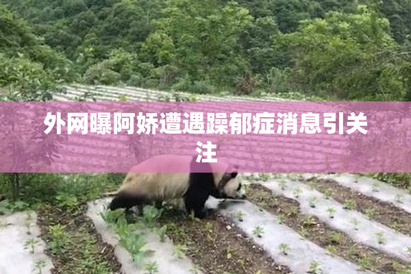 外网曝阿娇遭遇躁郁症消息引关注