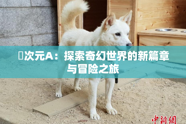 囧次元A：探索奇幻世界的新篇章与冒险之旅