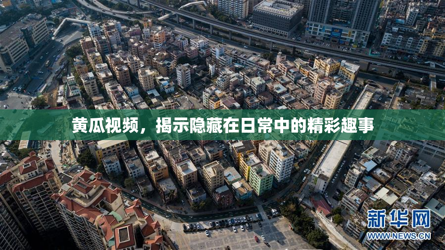 黄瓜视频，揭示隐藏在日常中的精彩趣事