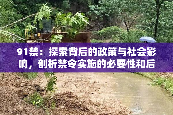 91禁：探索背后的政策与社会影响，剖析禁令实施的必要性和后果