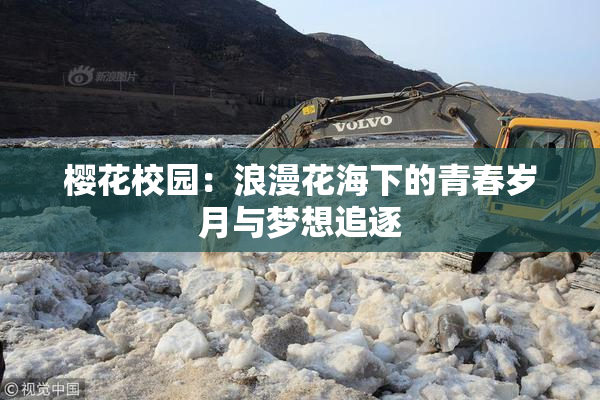樱花校园：浪漫花海下的青春岁月与梦想追逐