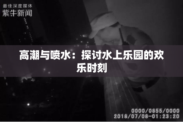 高潮与喷水：探讨水上乐园的欢乐时刻