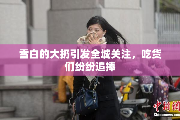 雪白的大扔引发全城关注，吃货们纷纷追捧