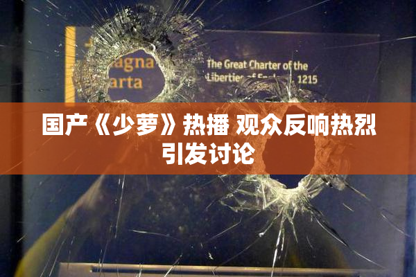 国产《少萝》热播 观众反响热烈引发讨论