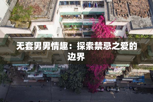 无套男男情趣：探索禁忌之爱的边界
