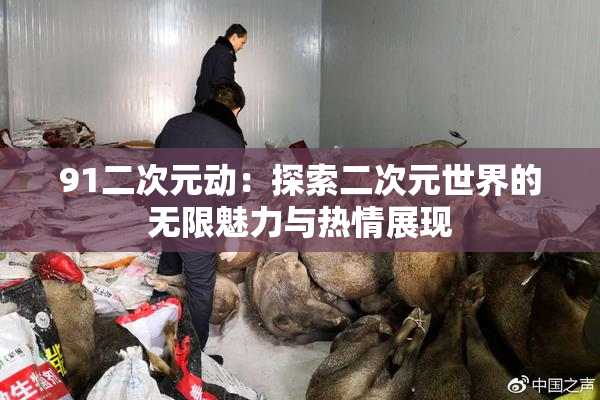 91二次元动：探索二次元世界的无限魅力与热情展现